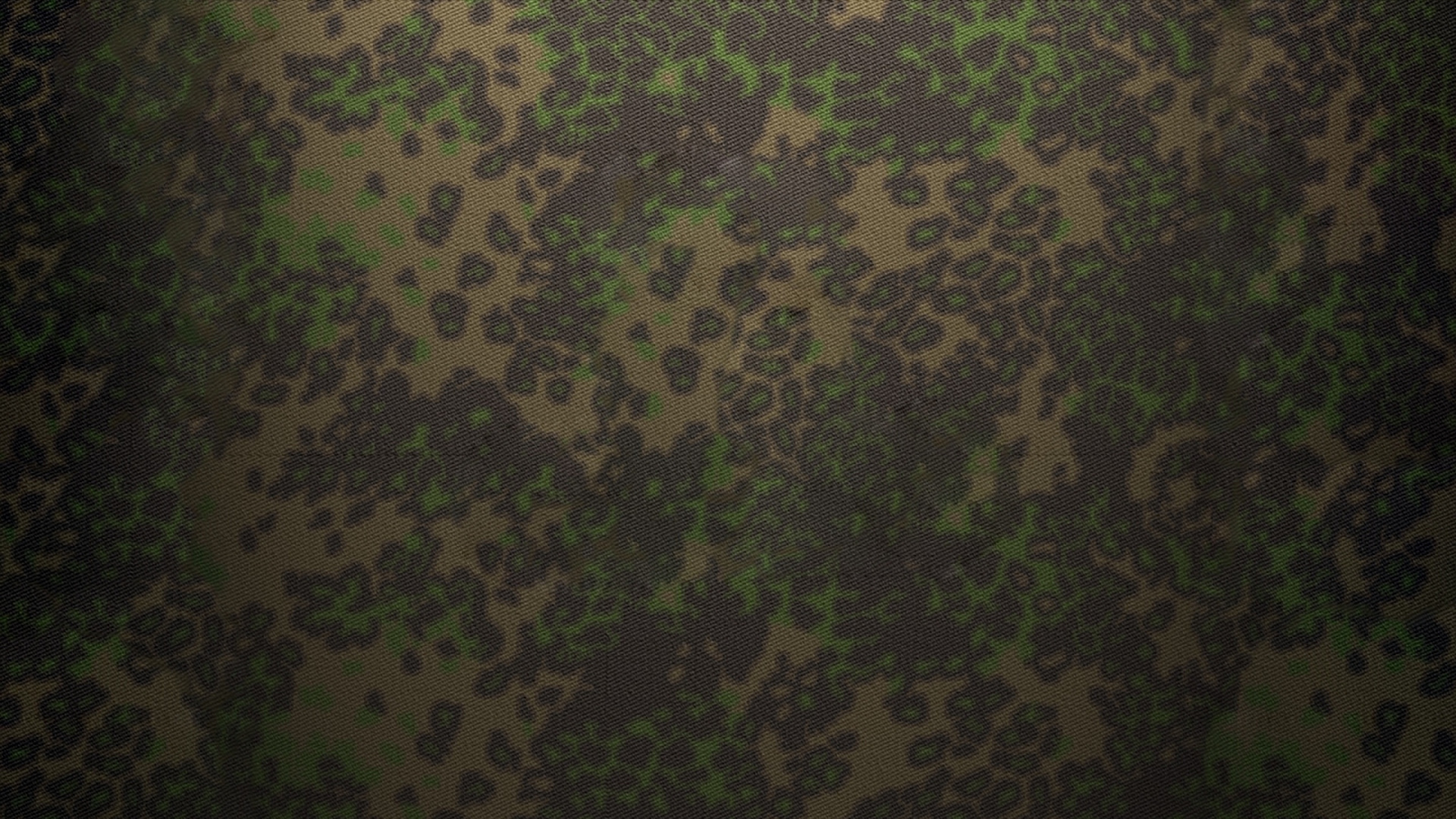 Обои растительность, зеленый, узор, лес, джунгли в разрешении 1920x1080