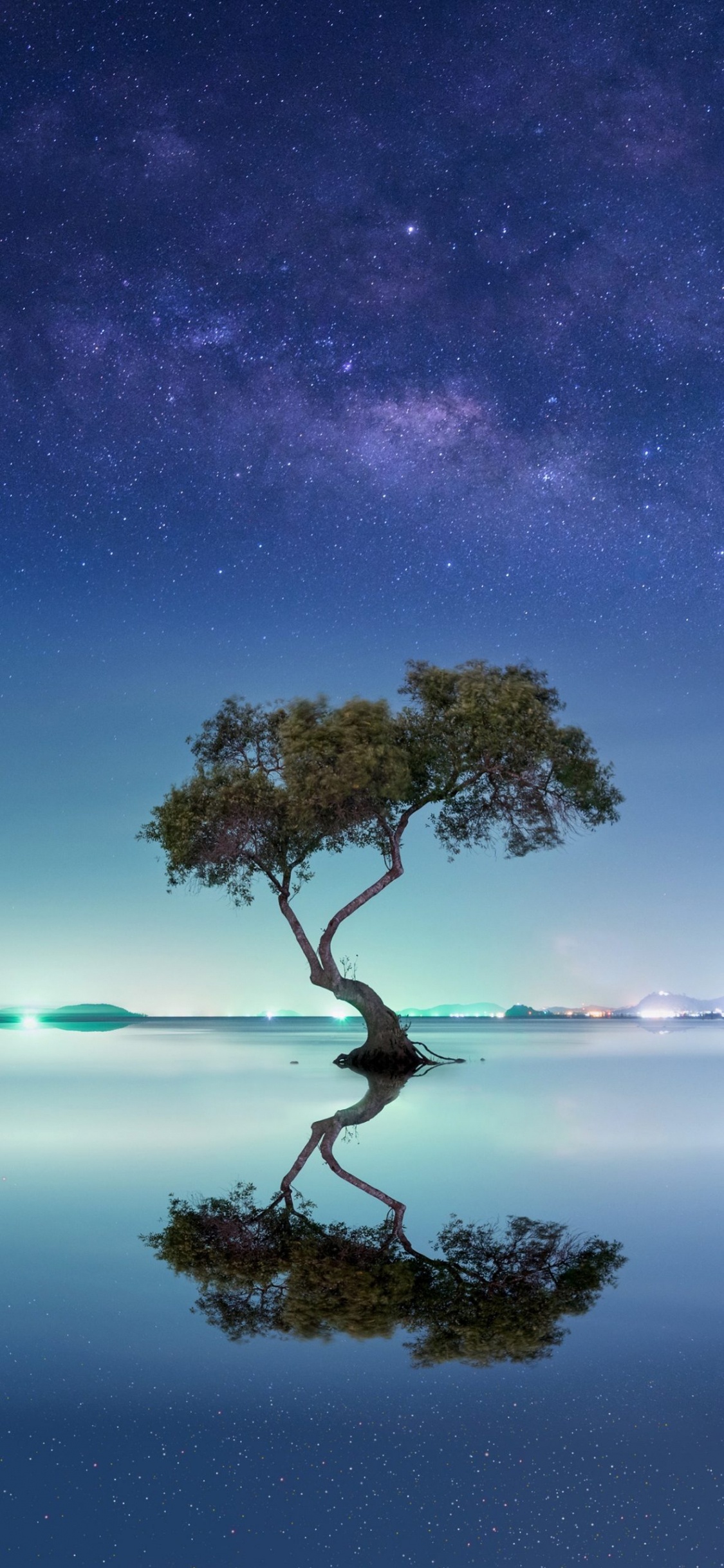 Обои Млечный Путь, природа, ветвь, природный ландшафт, атмосфера в разрешении 1125x2436