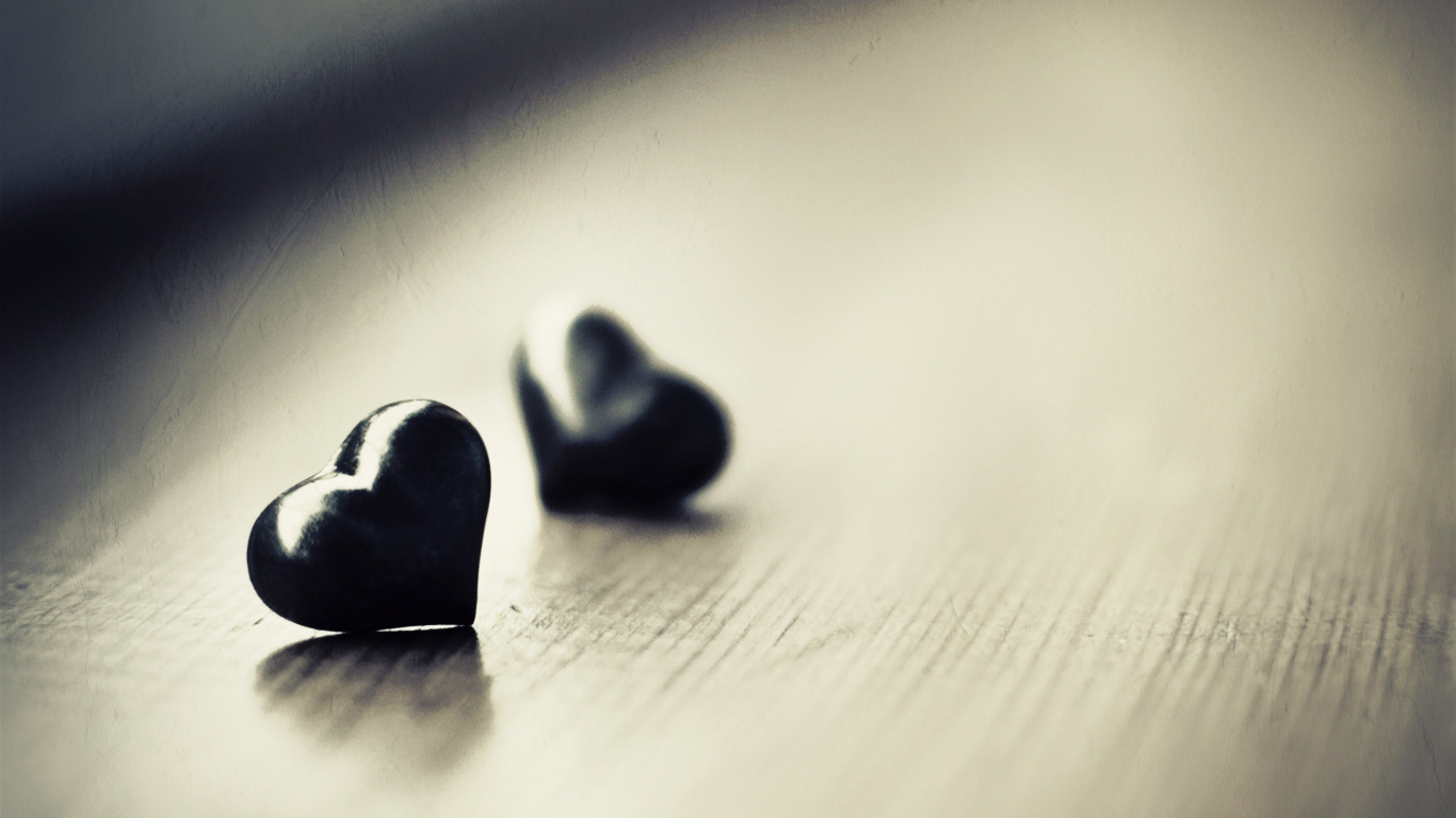 Обои черный, монохромный, межличностные отношения, монохром, макросъемка в разрешении 1366x768