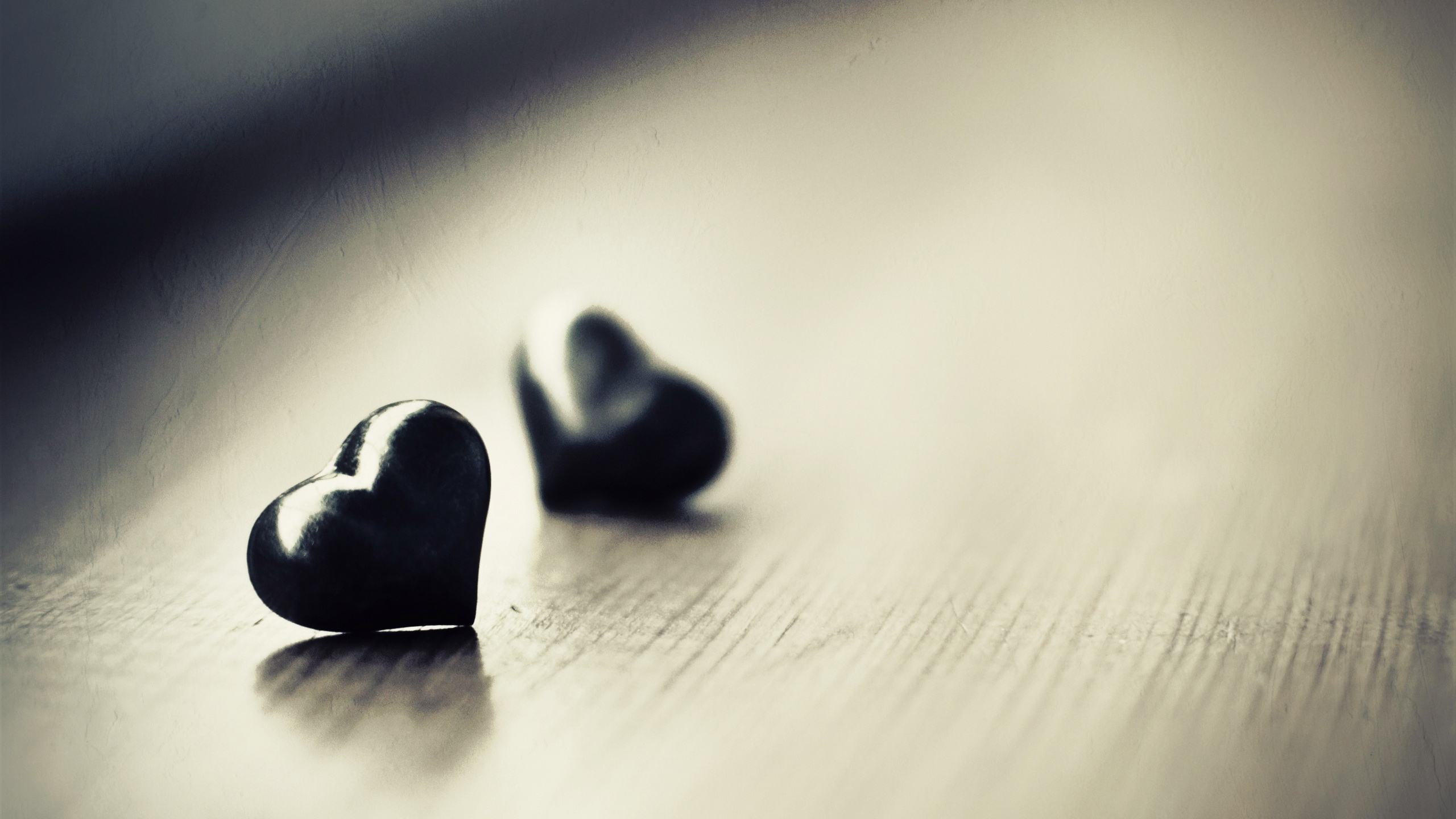 Обои черный, монохромный, межличностные отношения, монохром, макросъемка в разрешении 2560x1440