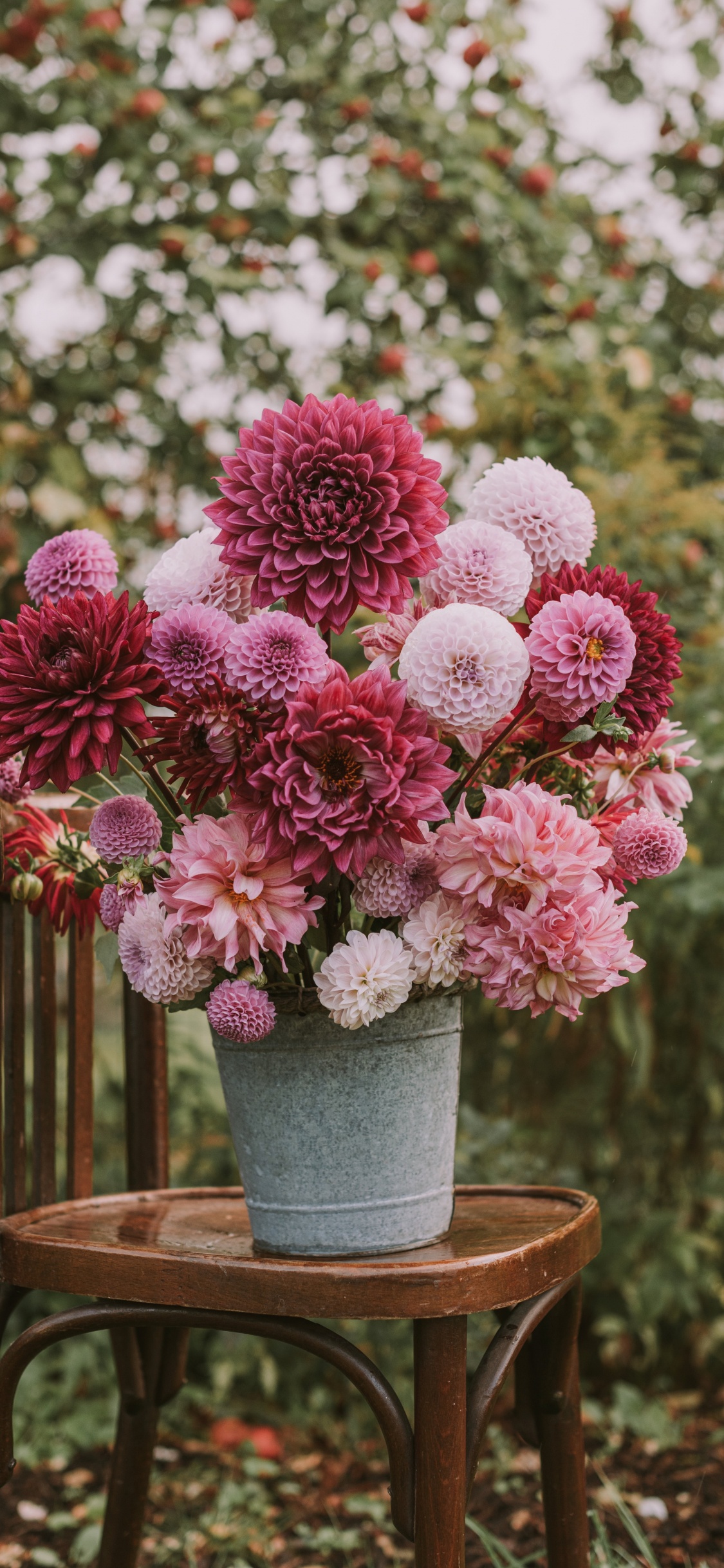 Обои цветок, цветочный букет, флористика, лепесток, цветочный дизайн в разрешении 1125x2436