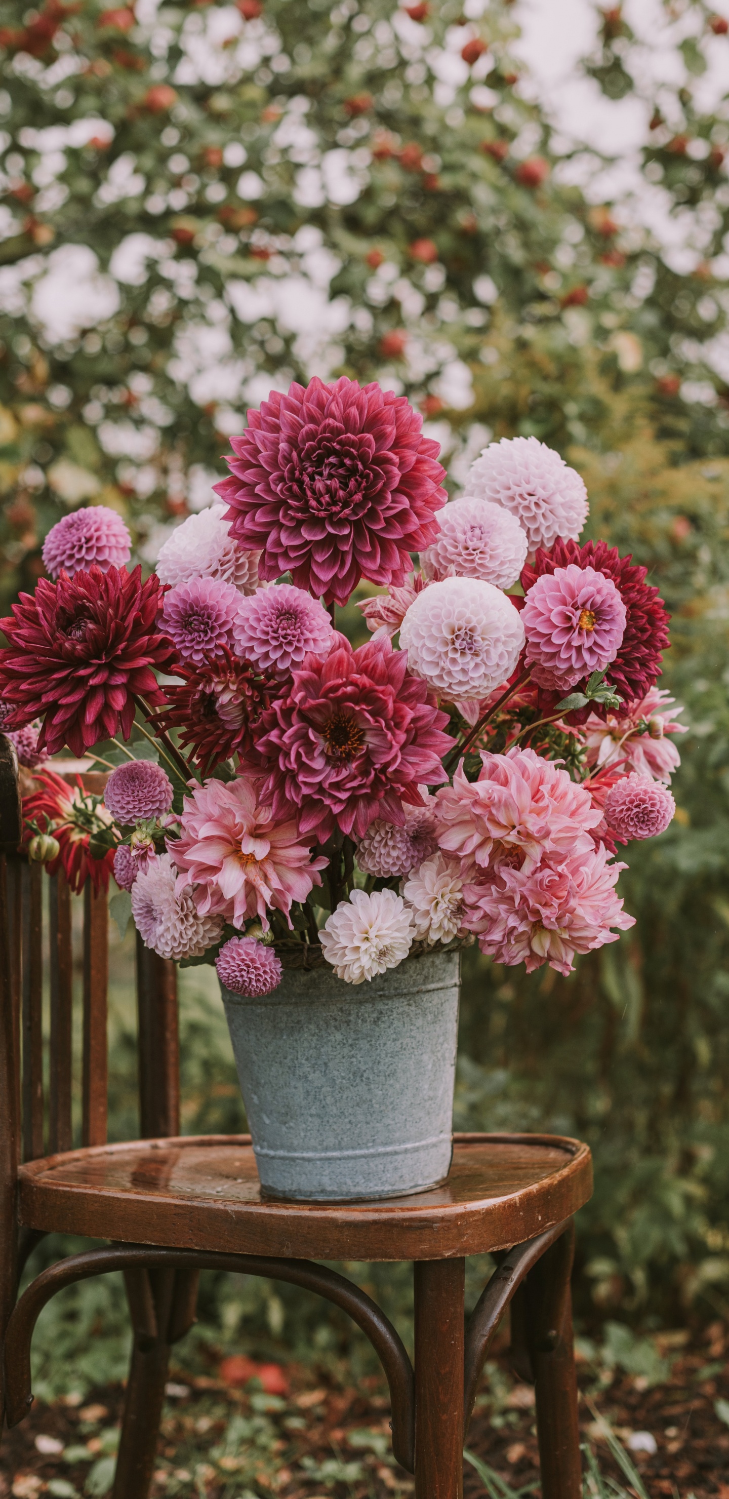 Обои цветок, цветочный букет, флористика, лепесток, цветочный дизайн в разрешении 1440x2960