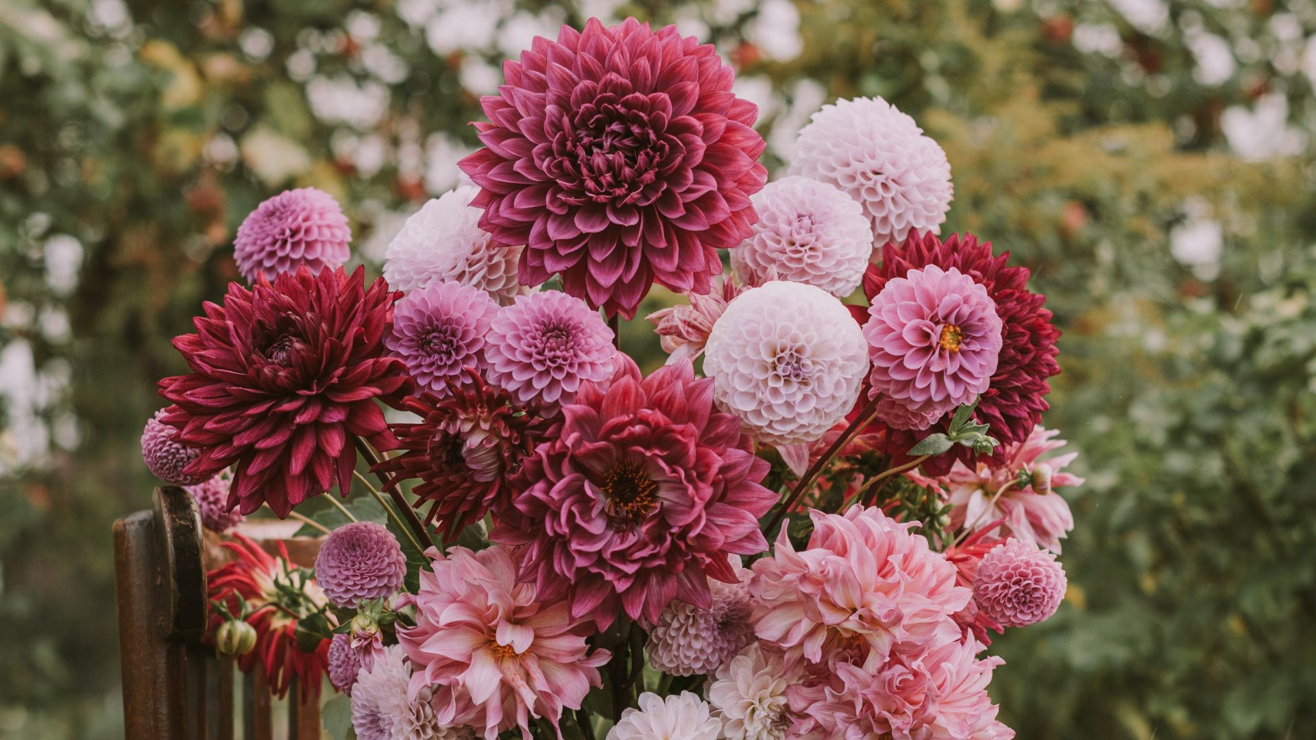 Обои цветок, цветочный букет, флористика, лепесток, цветочный дизайн в разрешении 1920x1080