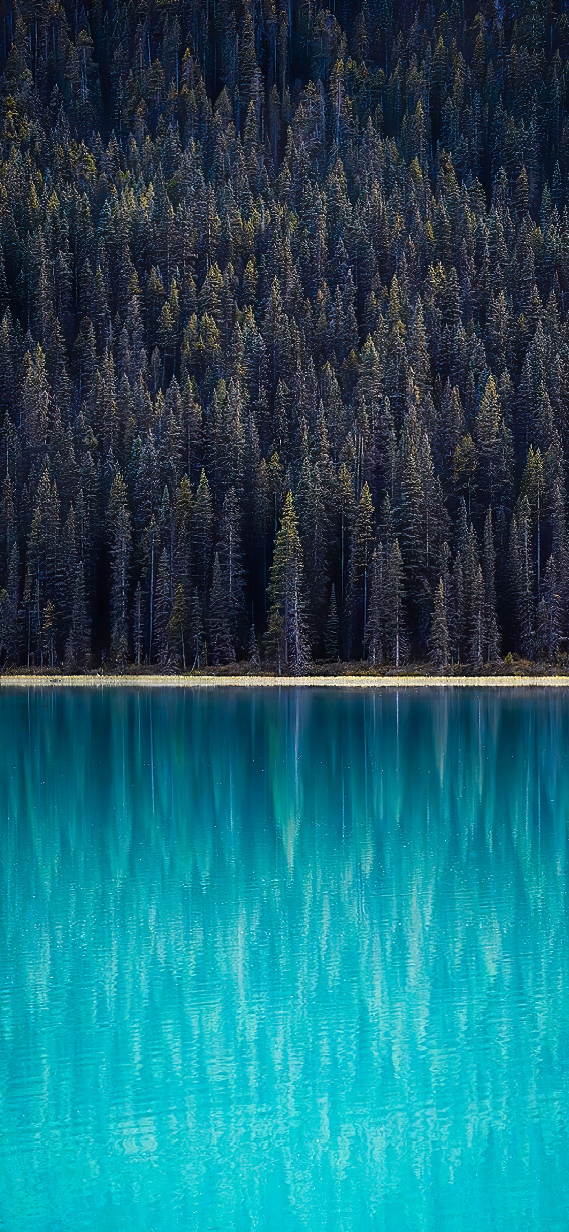 Обои отражение, вода, гидроресурсы, экорегион, синий в разрешении 1125x2436