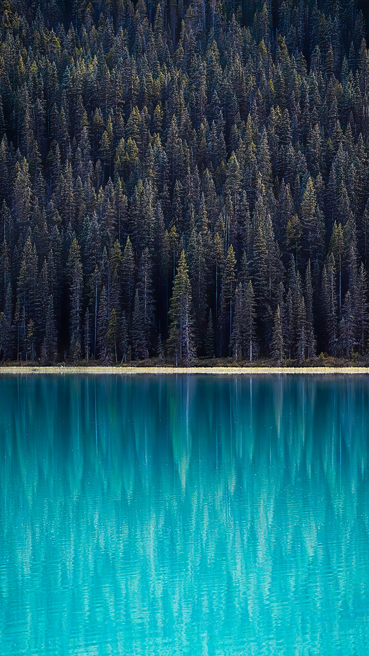 Обои отражение, вода, гидроресурсы, экорегион, синий в разрешении 750x1334