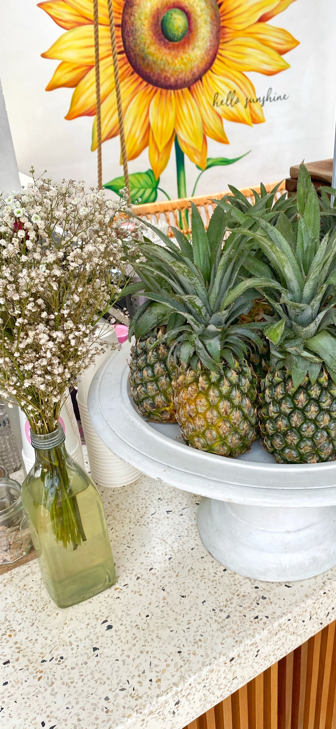 Обои ананас, наука, биология, Веганское питание, цветок в разрешении 1125x2436