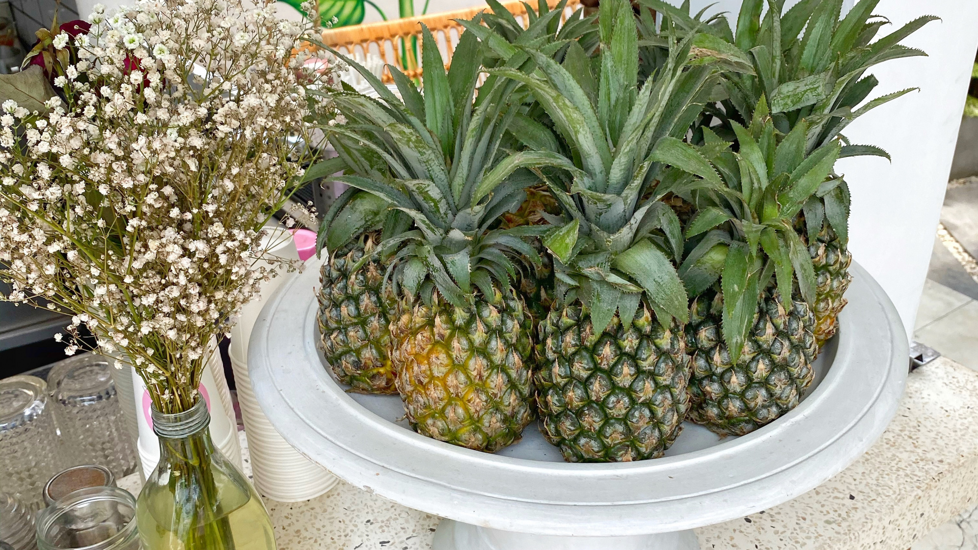 Обои ананас, наука, биология, Веганское питание, цветок в разрешении 1920x1080