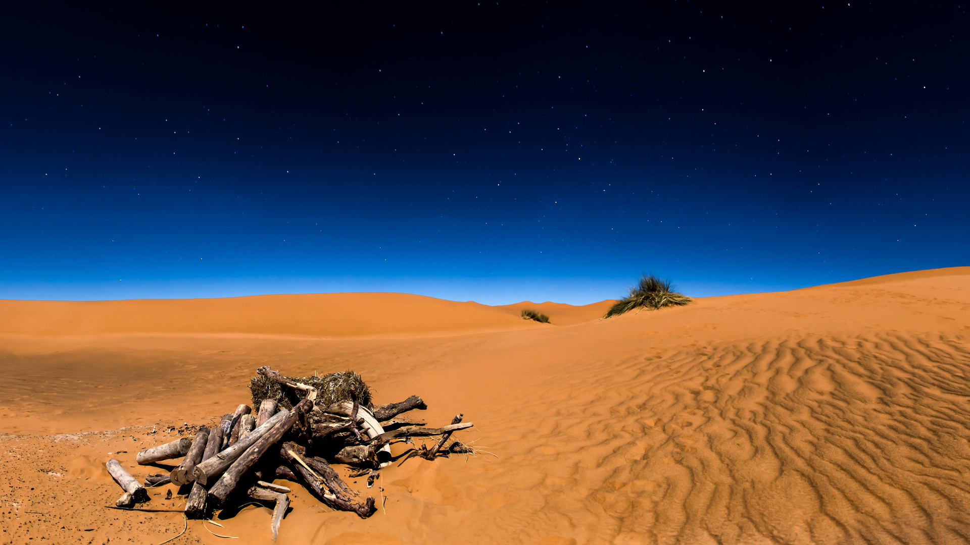 Обои пустыня, эрг, песок, эолийские рельефы, сахара в разрешении 1920x1080