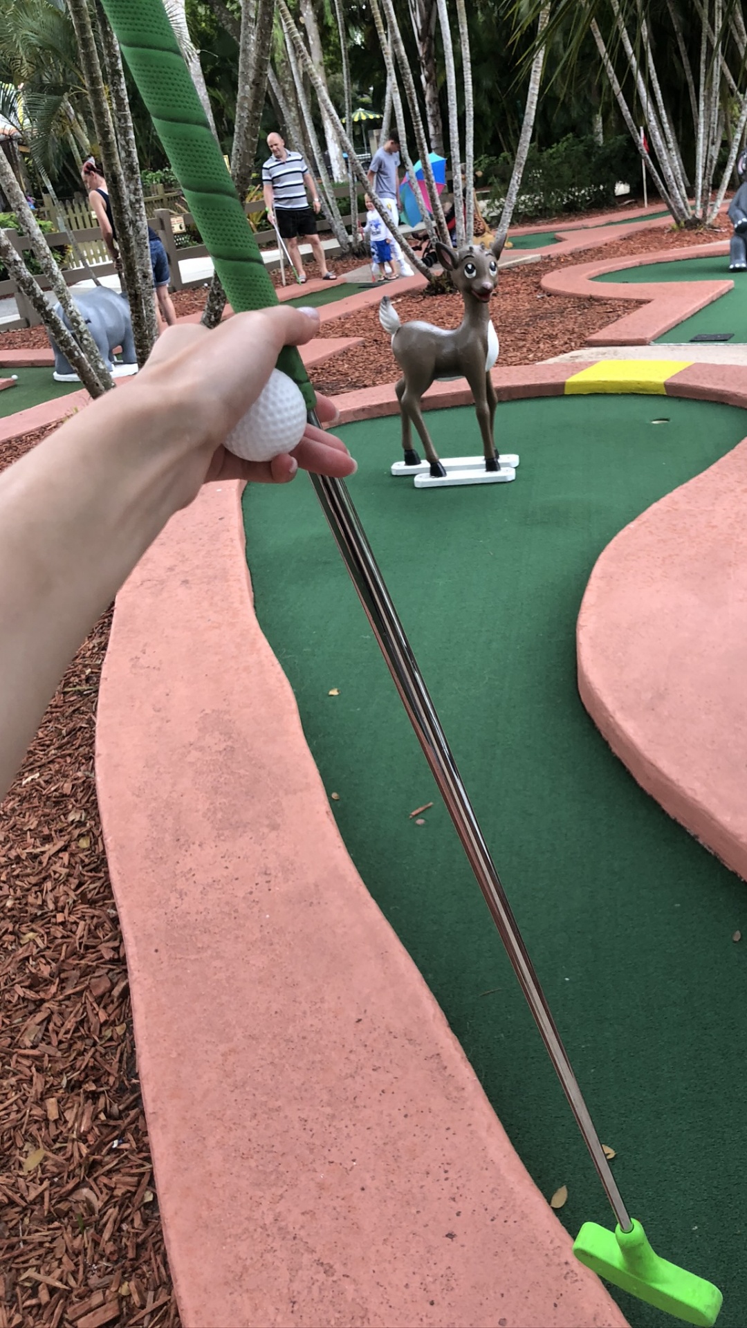 Обои миниатюрный гольф, общественное место, лист, досуг, древесные растения в разрешении 1080x1920