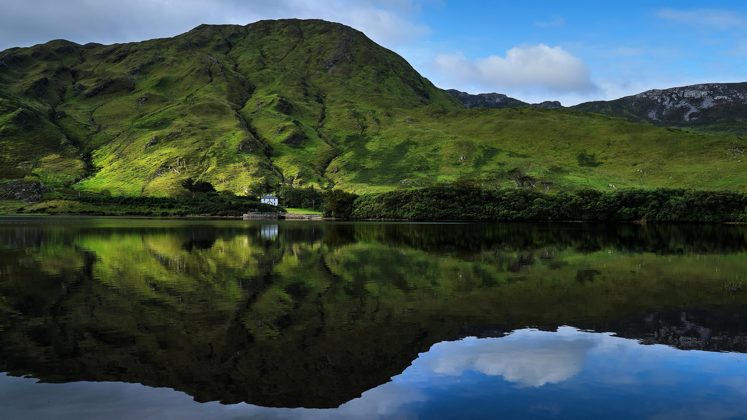 Обои отражение, дерево, вода, облако, гора в разрешении 2560x1440