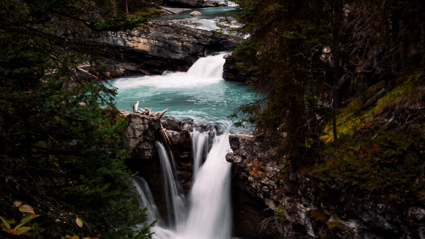 Обои растительность, водоток, поток, водоем, природный ландшафт в разрешении 1366x768