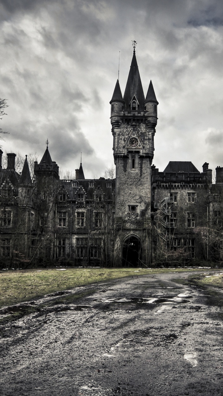 Обои ориентир, дерево, черно-белая фотография, черный и белый, величественный дом в разрешении 720x1280