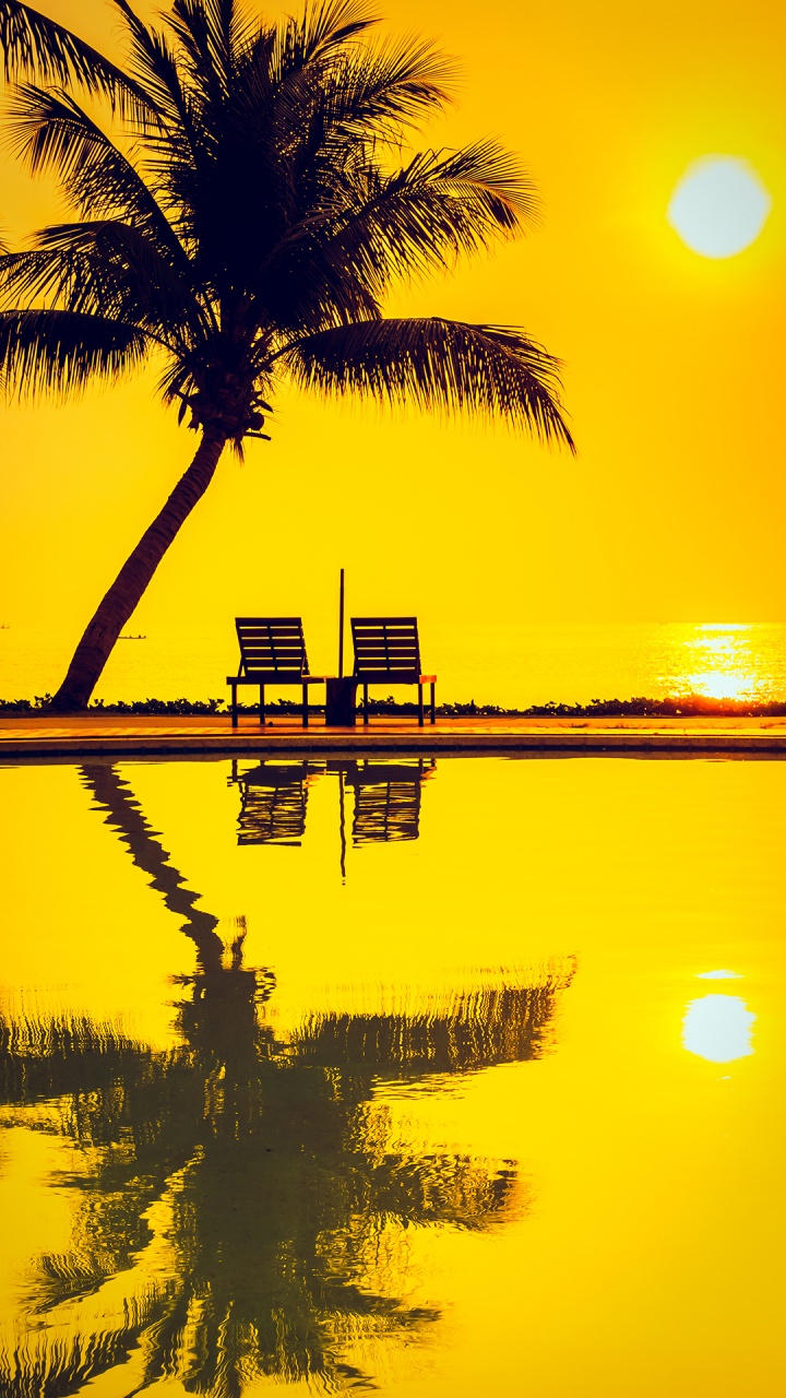 Обои солнечный свет, сеансы на закате, том 11, музыка для мечты, soundcloud, Альбом в разрешении 720x1280