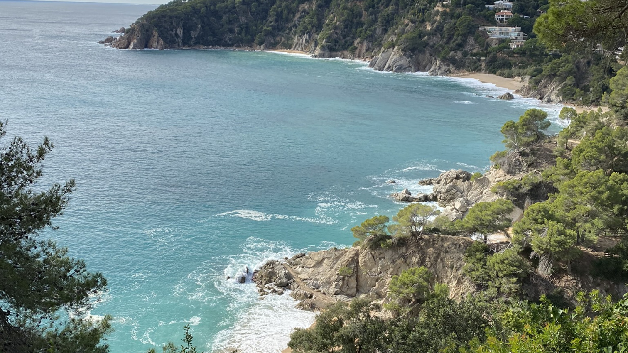 Обои побережье, водоем, растительность, природа, окружающая среда в разрешении 1280x720