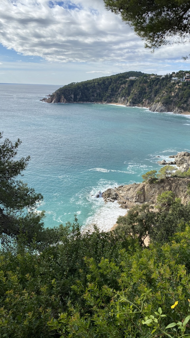 Обои побережье, водоем, растительность, природа, окружающая среда в разрешении 720x1280