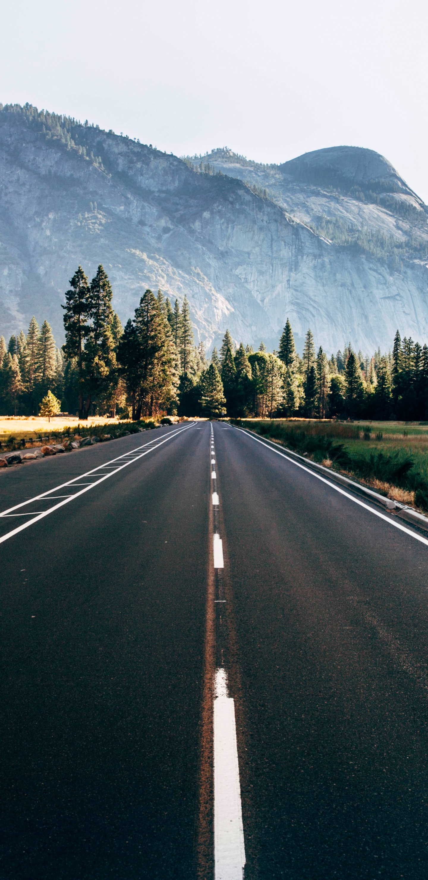 Обои дорога, магистраль, асфальт, природа, горный рельеф в разрешении 1440x2960