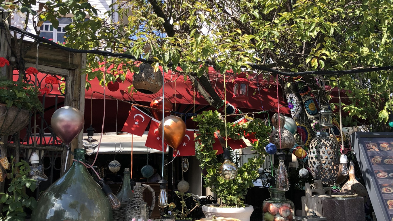 Обои открытый структуру, освещение, растение, цветочный горшок, сад в разрешении 1366x768