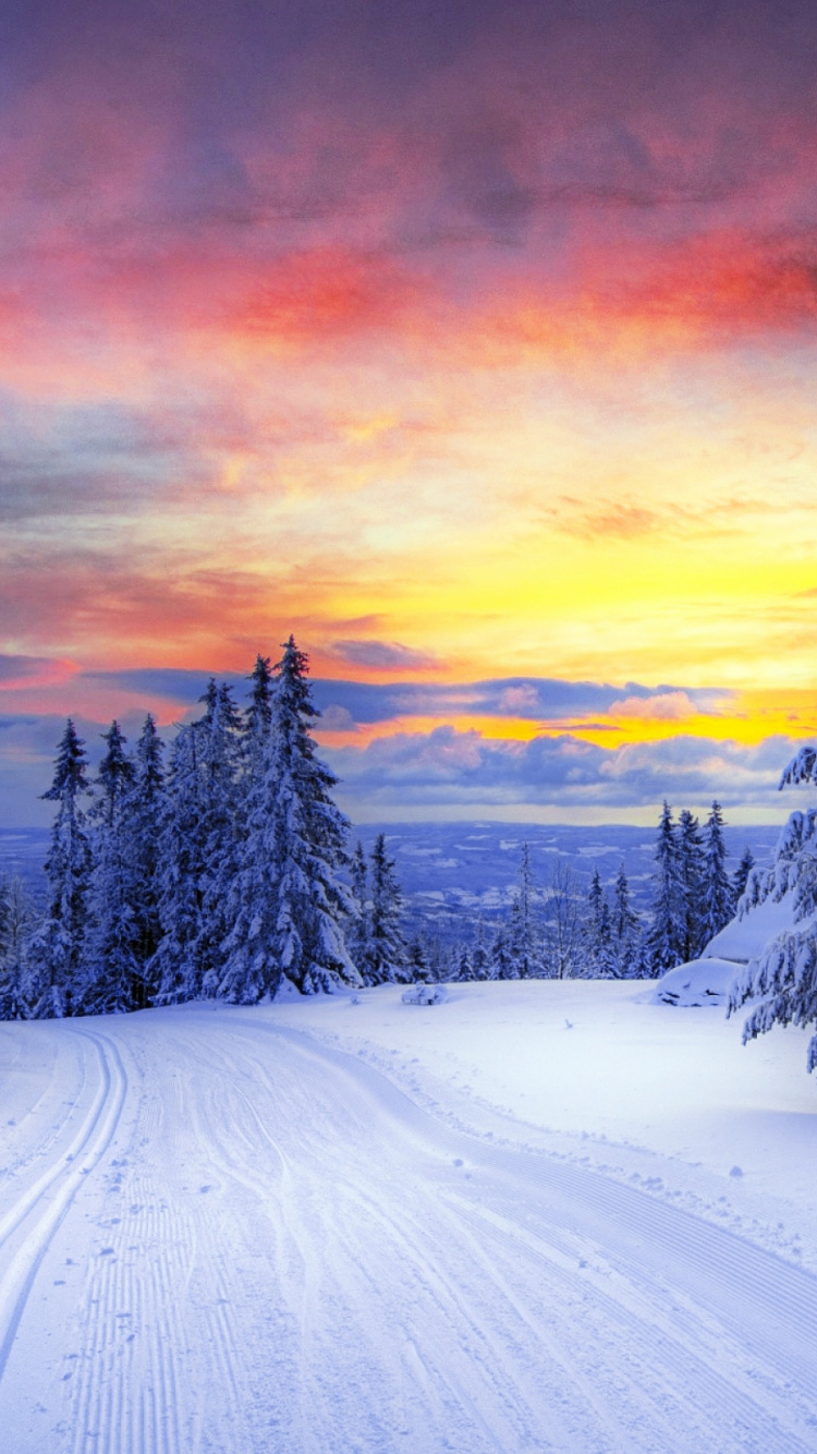 Обои снег, зима, природа, дерево, замораживание в разрешении 750x1334