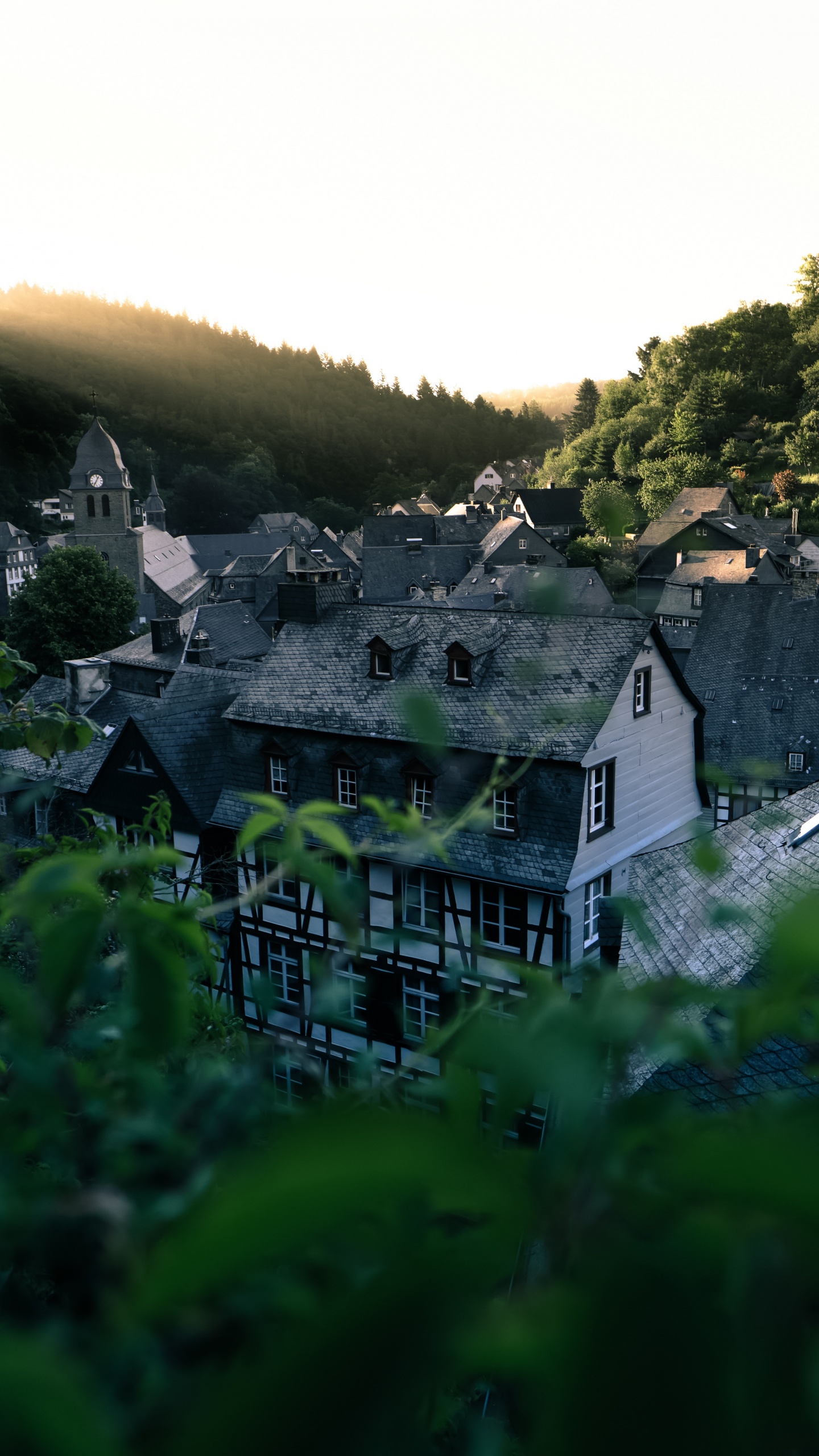 Обои природа, растительность, зеленый, горная деревня, Хаус в разрешении 1440x2560