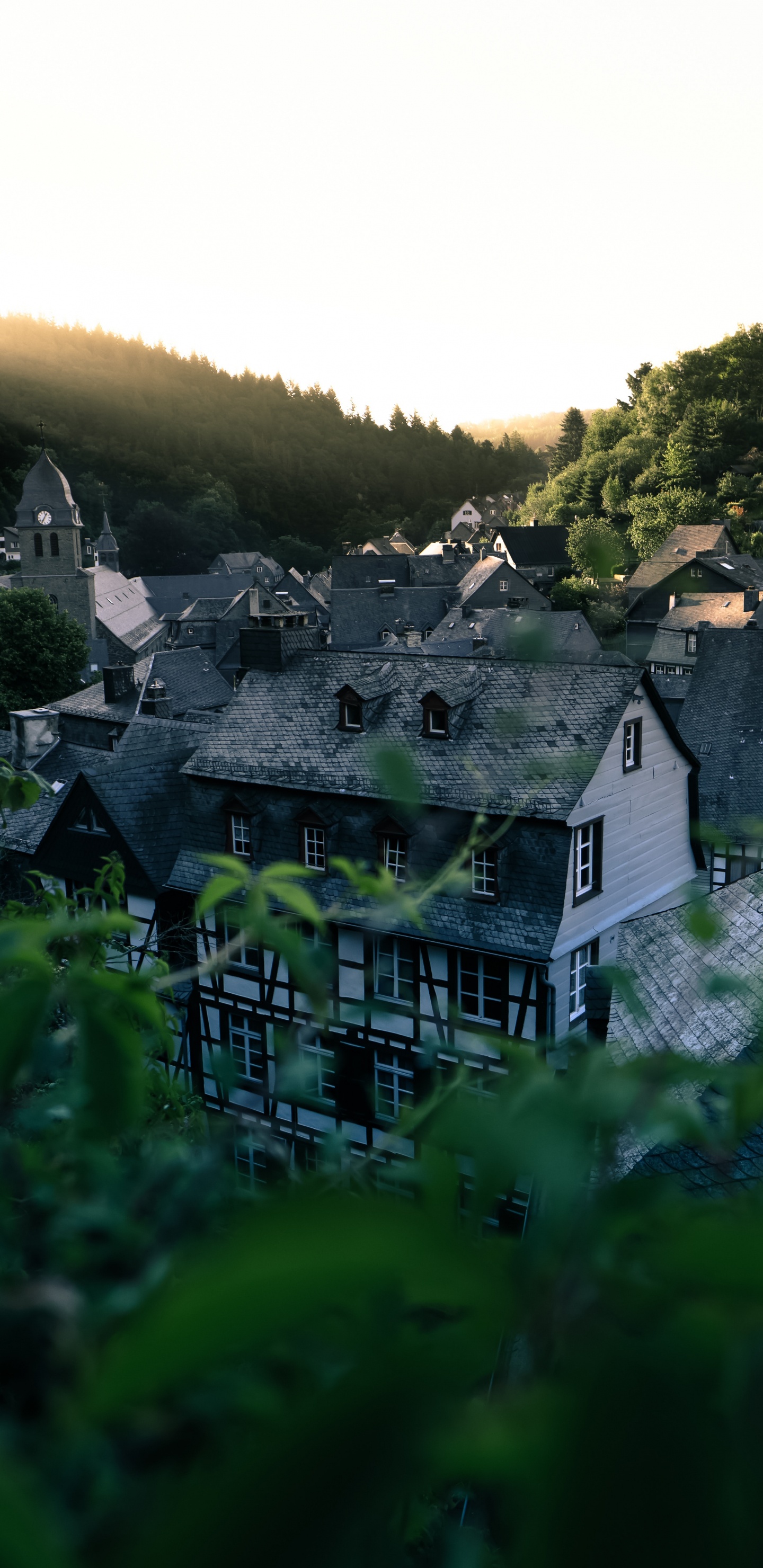 Обои природа, растительность, зеленый, горная деревня, Хаус в разрешении 1440x2960