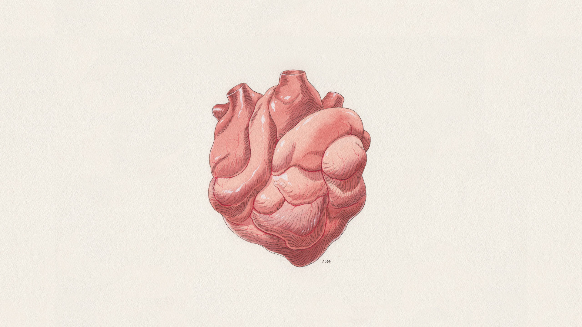 Обои цифровое искусство, сердце, фон в разрешении 1920x1080