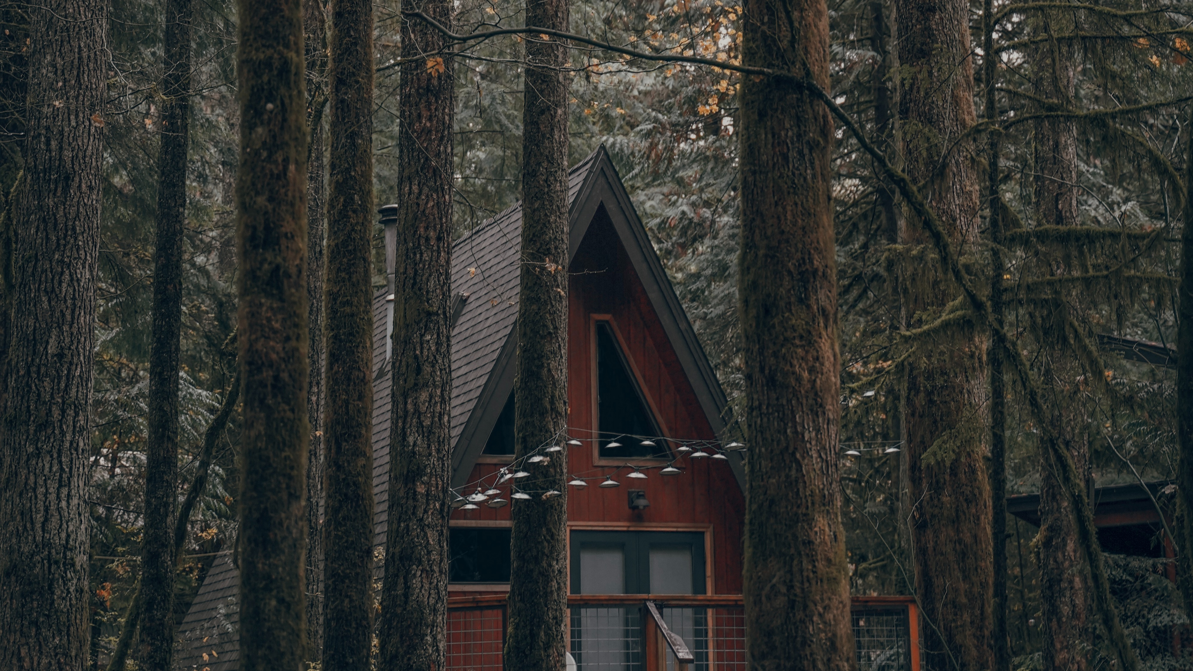 Обои лес, дерево, здание, природа, окружающая среда в разрешении 3840x2160