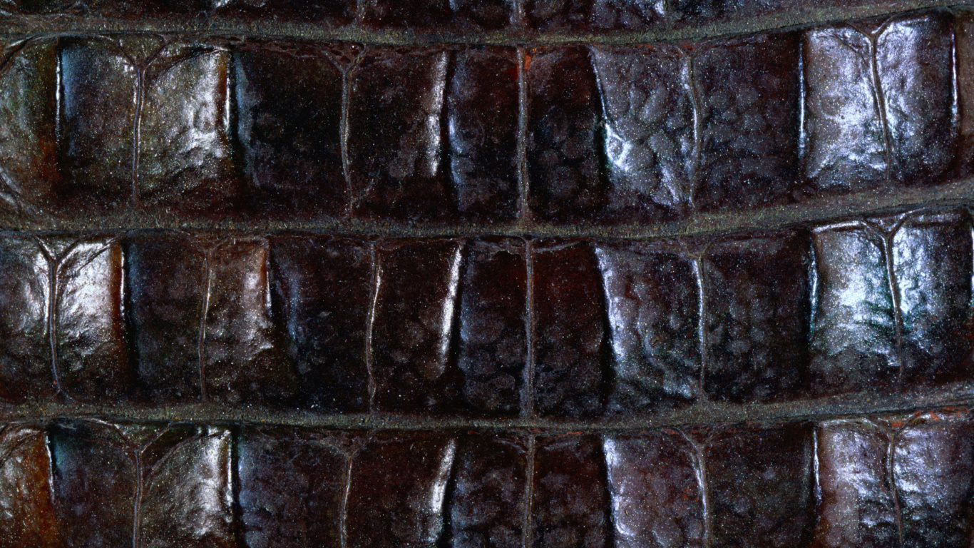 Обои крокодил текстуры кожи, текстура, металл, Аллигатор, древняя история в разрешении 1366x768