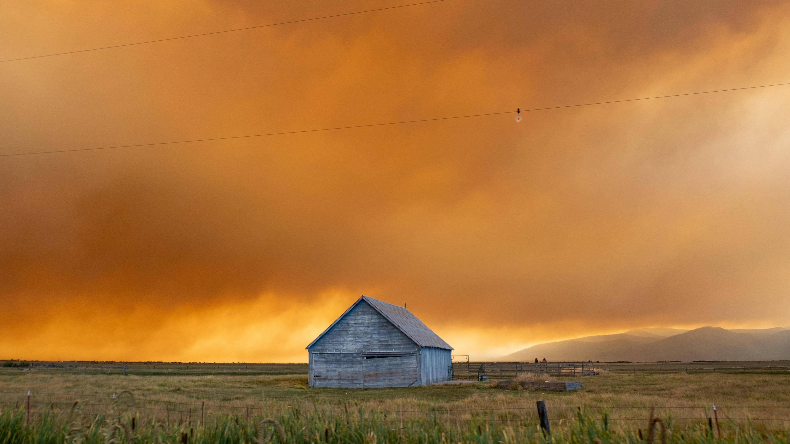 Обои трава, облако, атмосфера, экорегион, растение в разрешении 2560x1440