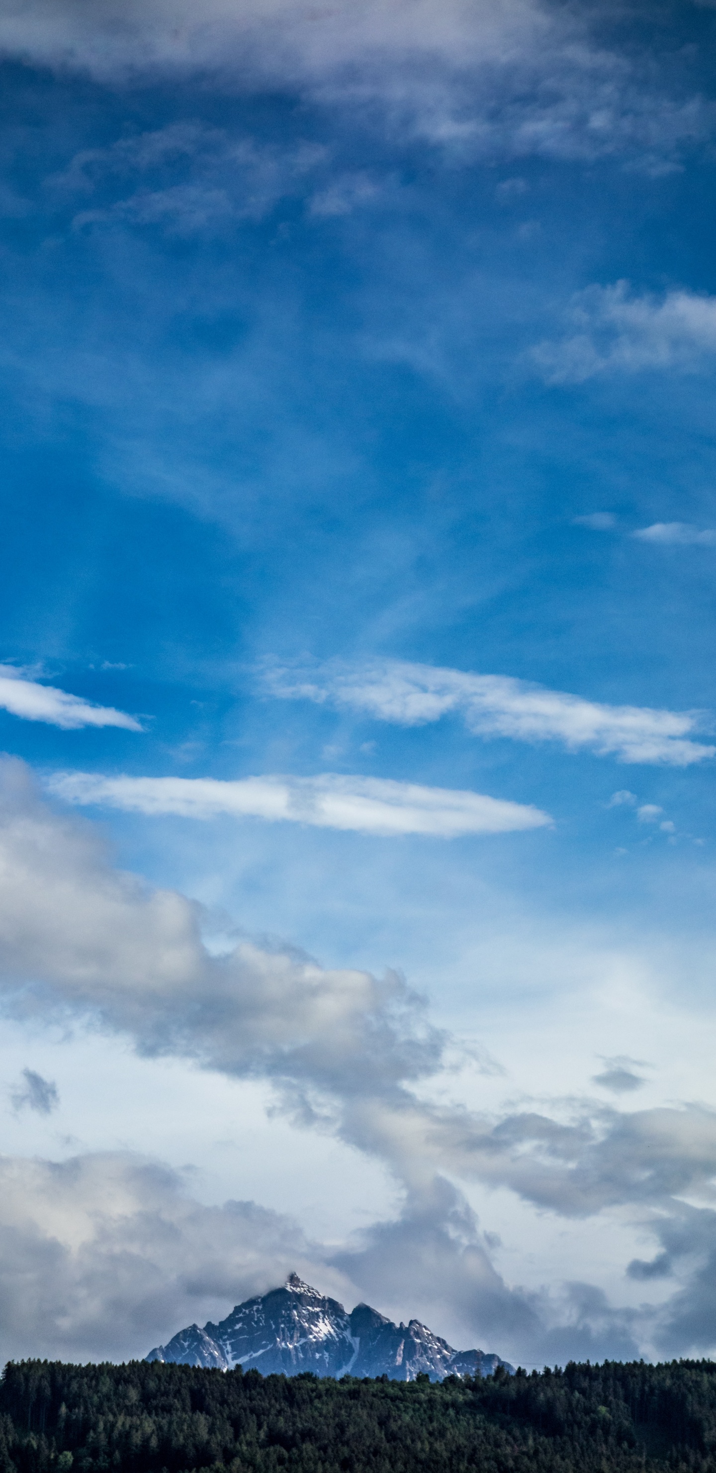 Обои дневное время, облако, синий, золотой час, небо в разрешении 1440x2960