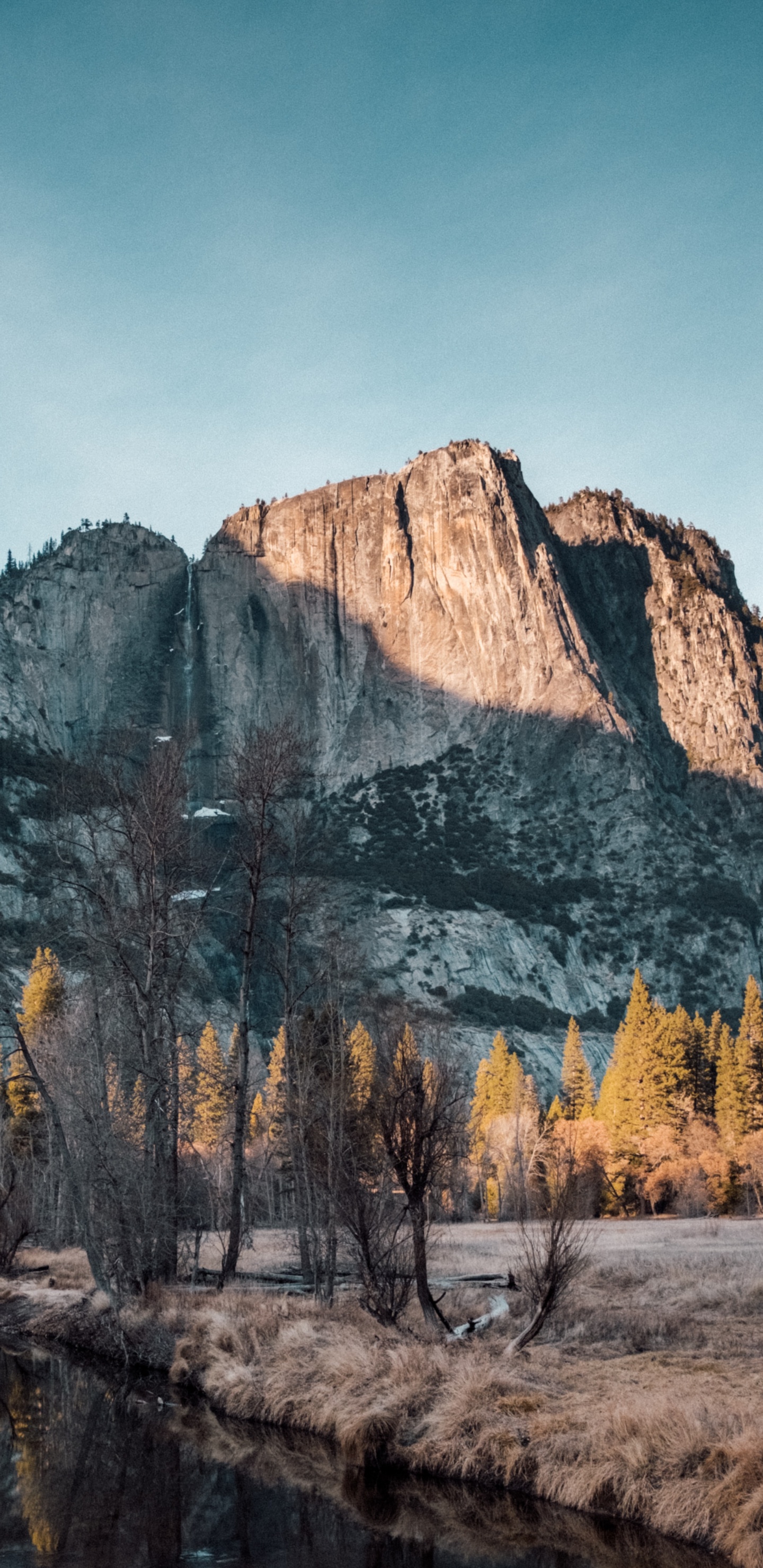 Обои йосемитский национальный парк, йосемити, национальный парк, гора, горный хребет в разрешении 1440x2960