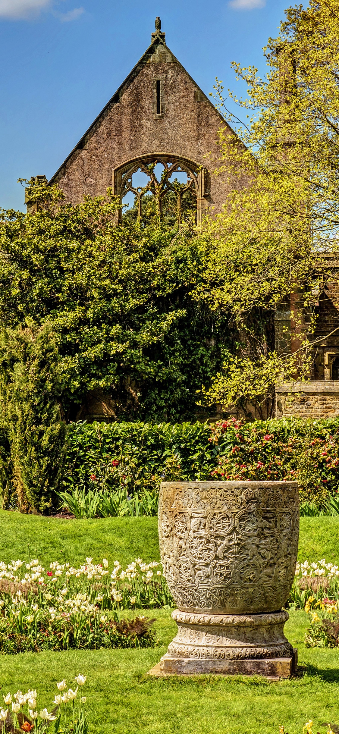 Обои природа, свойство, имущество, сад, родина в разрешении 1125x2436