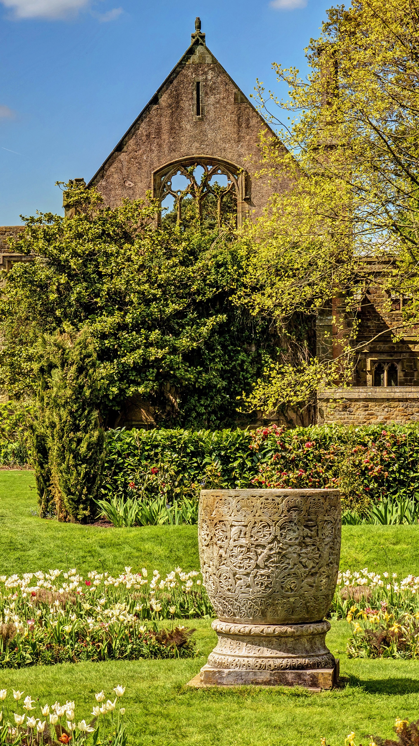 Обои природа, свойство, имущество, сад, родина в разрешении 1440x2560