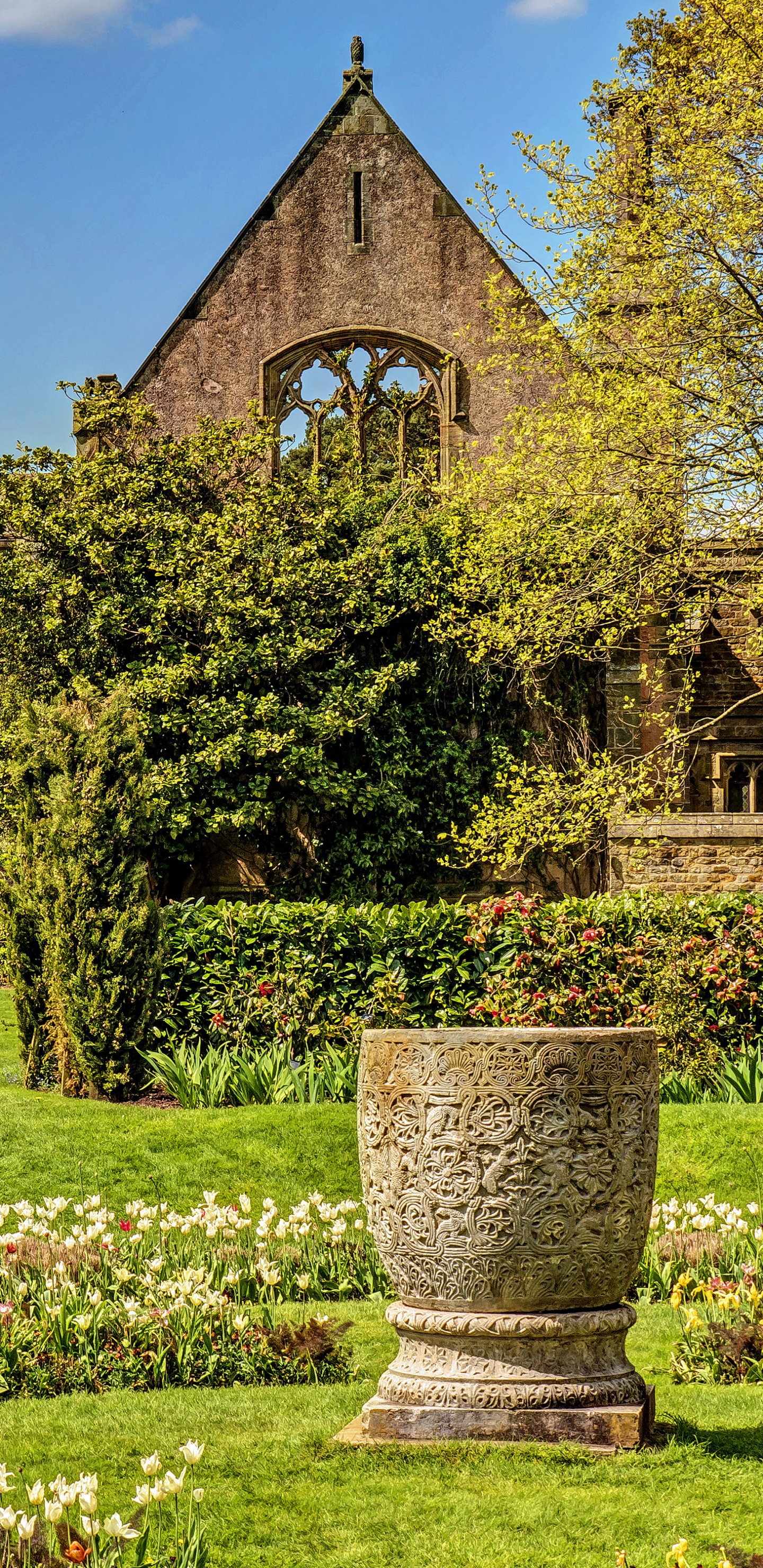 Обои природа, свойство, имущество, сад, родина в разрешении 1440x2960