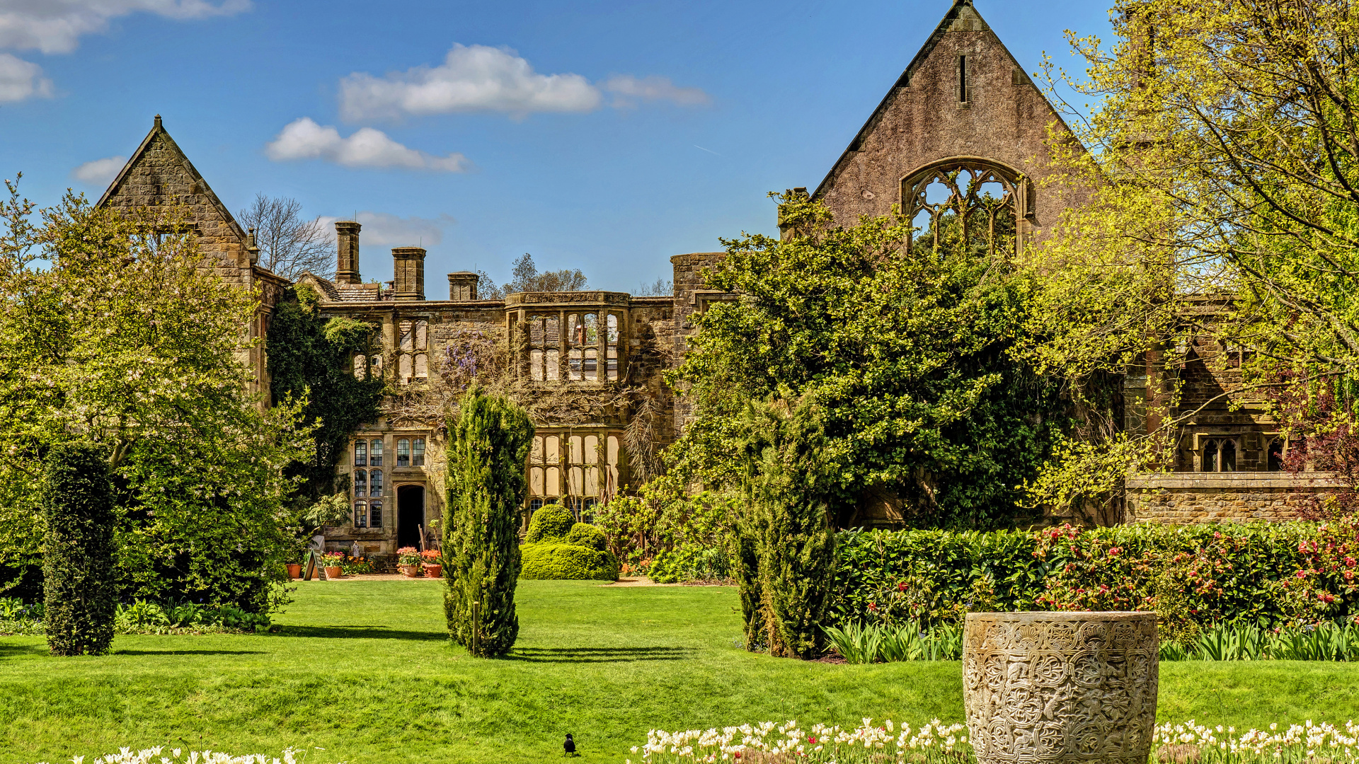 Обои природа, свойство, имущество, сад, родина в разрешении 1920x1080