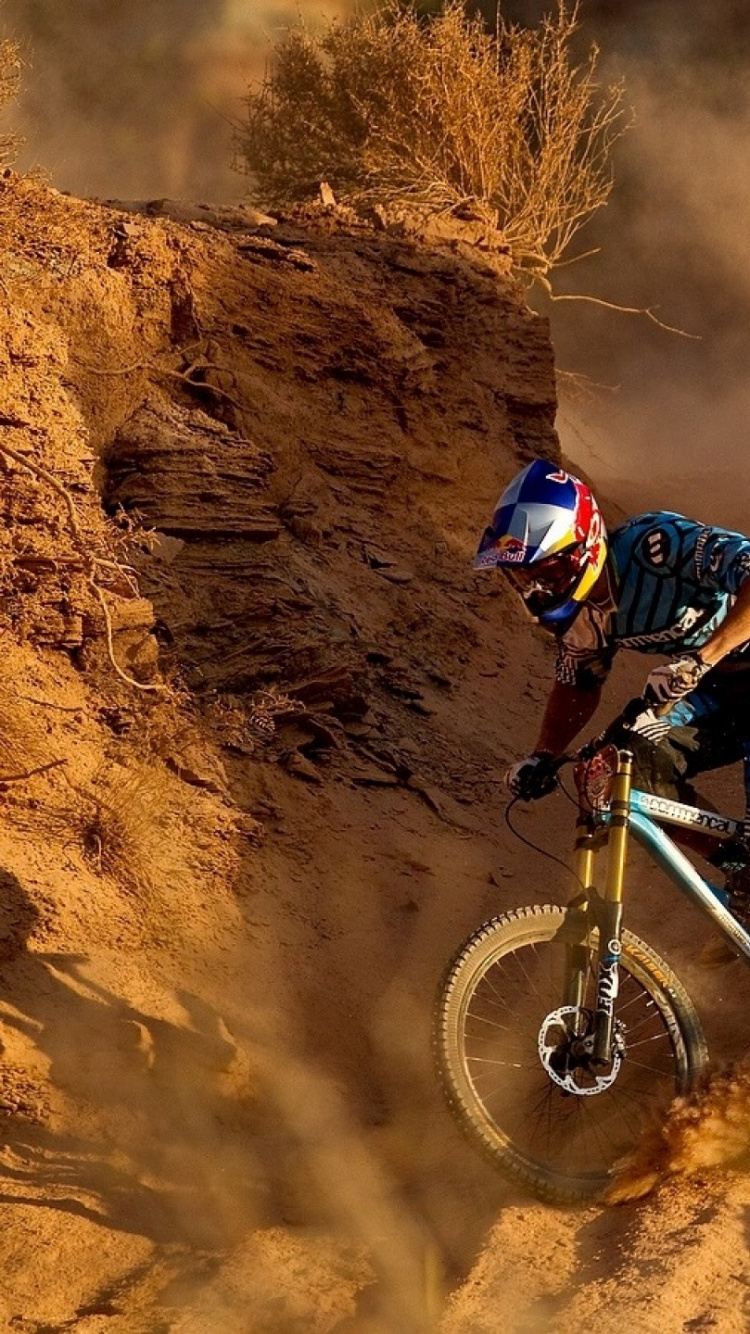 Обои горный спуск на велосипедах, горный велосипед, велосипед, свободная езда, катание на горных велосипедах в разрешении 750x1334