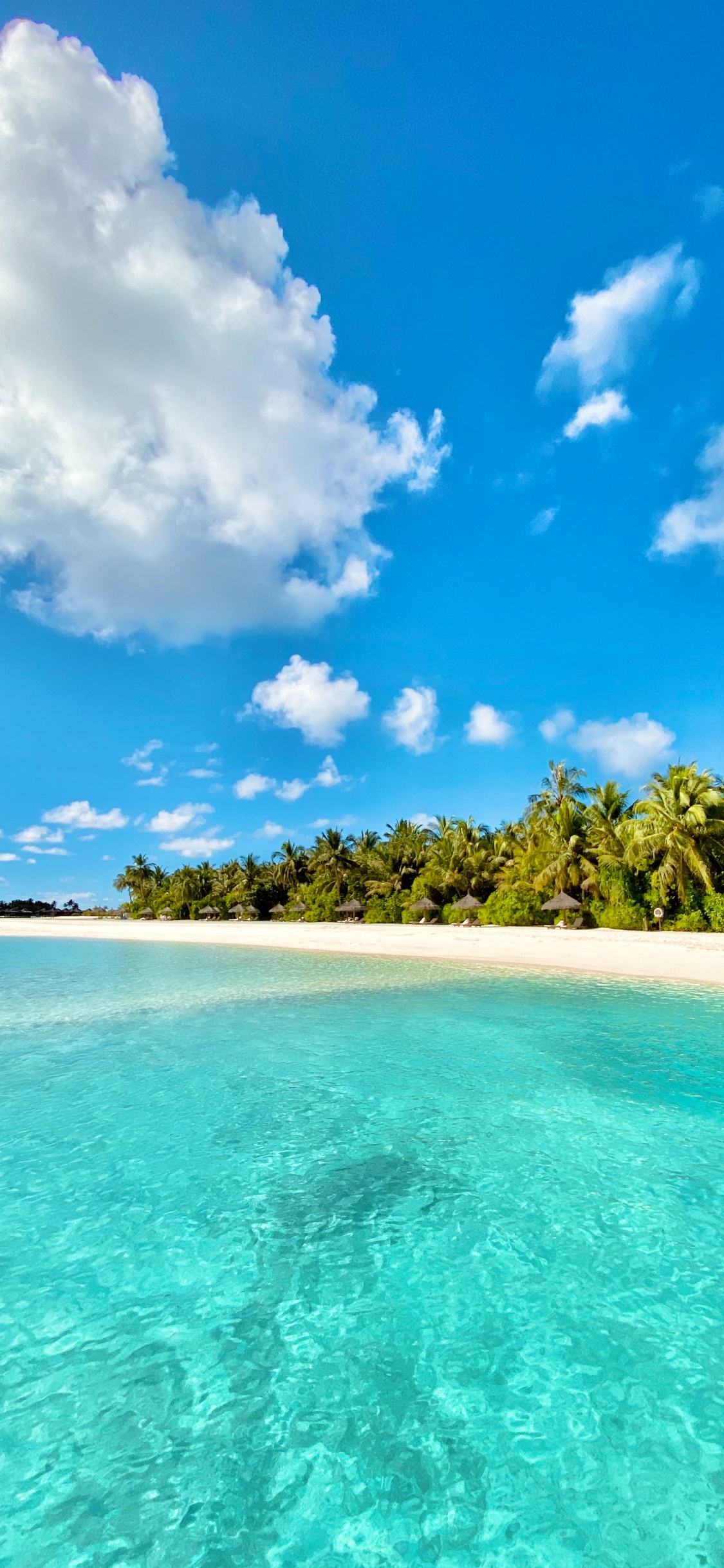 Обои водоем, синий, природа, море, тропическая зона в разрешении 1125x2436