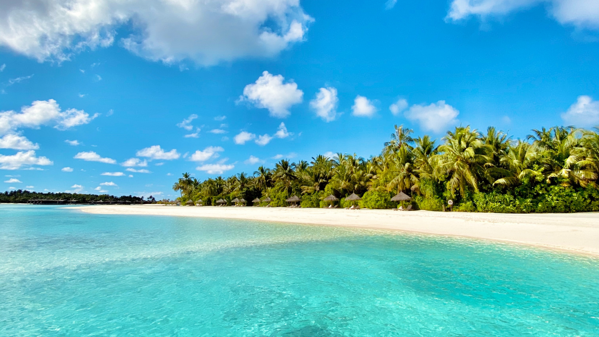 Обои водоем, синий, природа, море, тропическая зона в разрешении 1920x1080