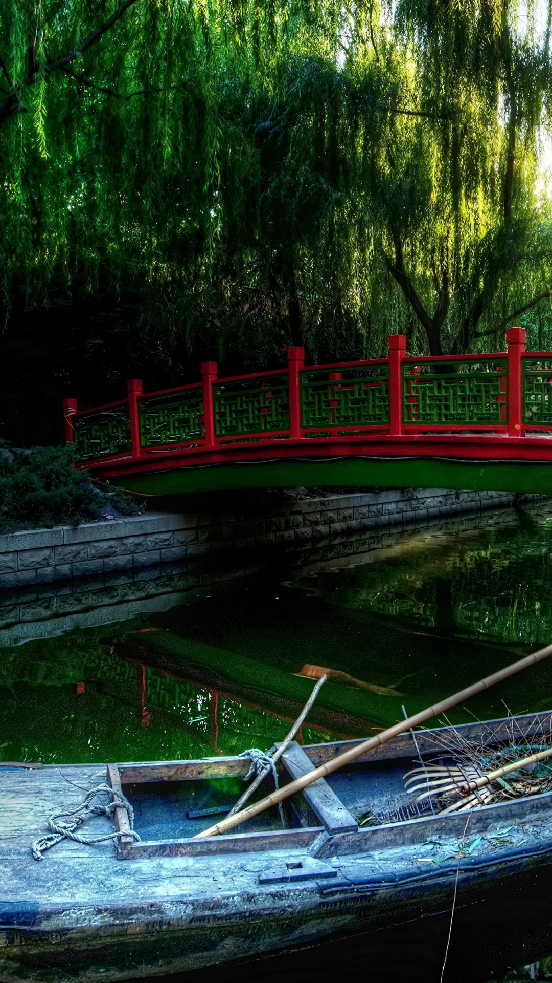 Обои природа, вода, зеленый, растительность, природный заповедник в разрешении 1080x1920