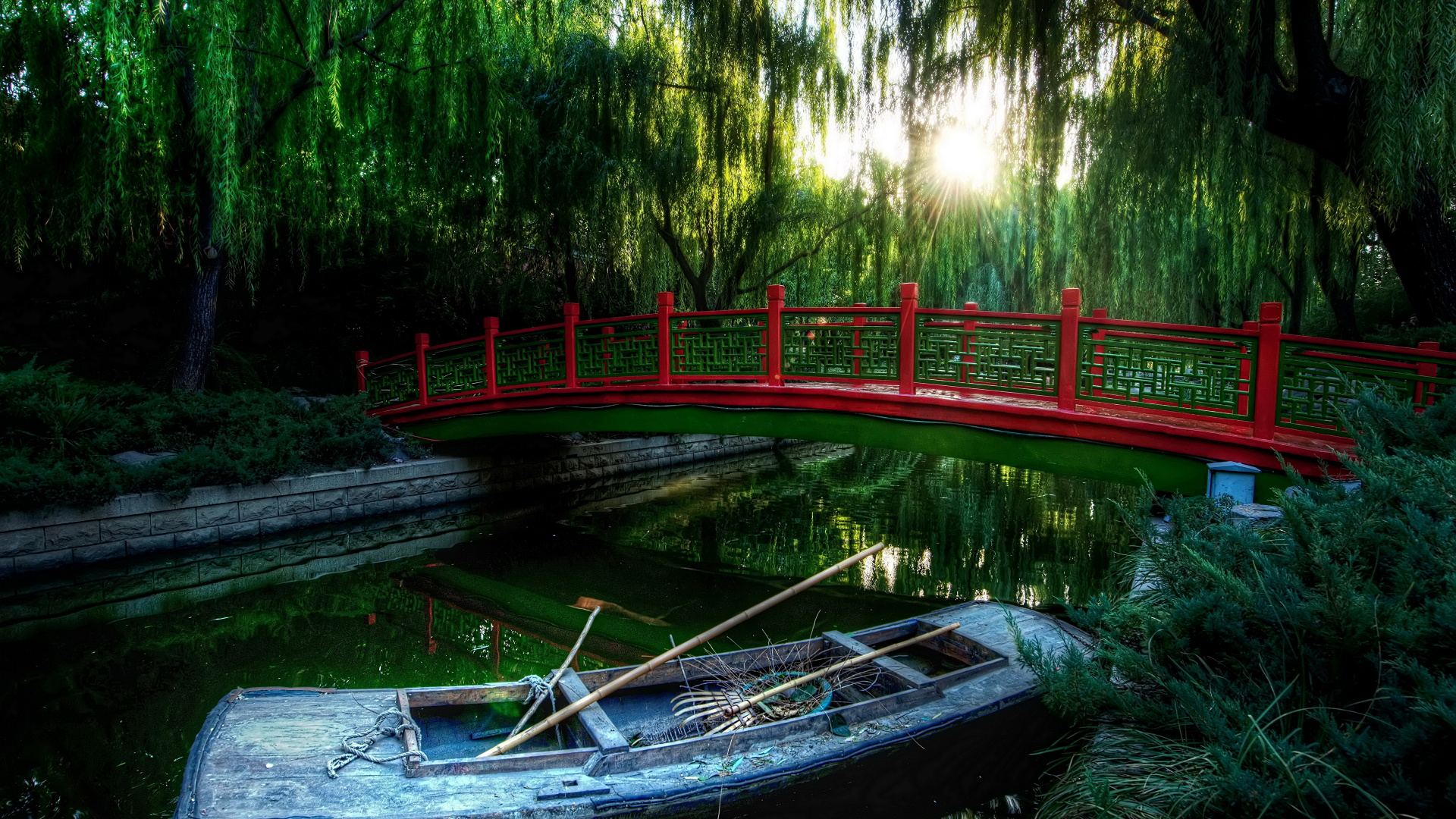 Обои природа, вода, зеленый, растительность, природный заповедник в разрешении 1920x1080