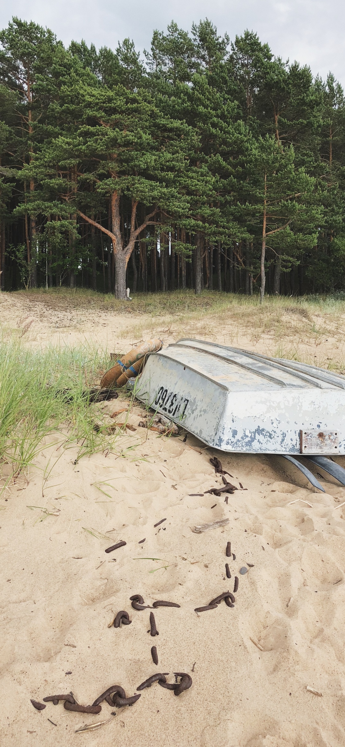 Обои песок, вода, растительное сообщество, биология, наука в разрешении 1125x2436