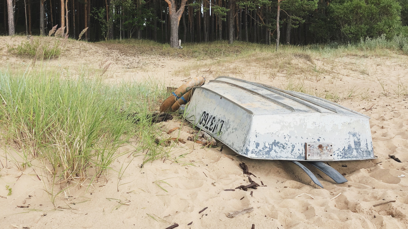 Обои песок, вода, растительное сообщество, биология, наука в разрешении 1366x768