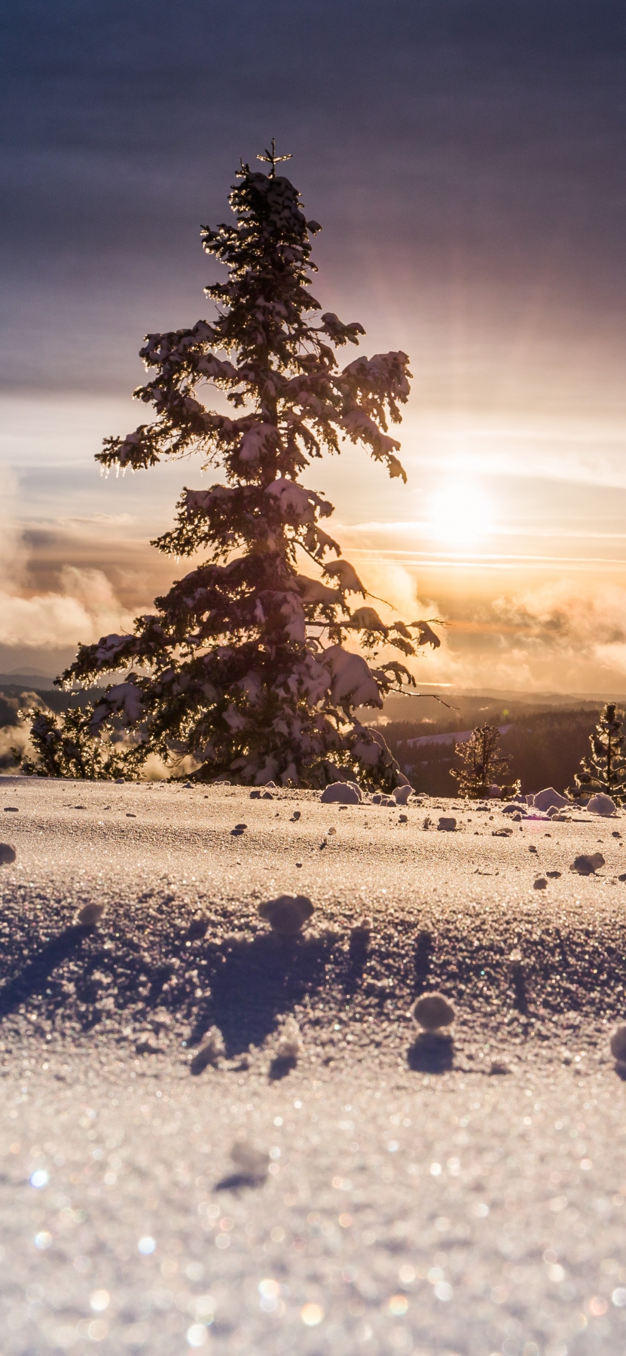 Обои облако, атмосфера, растение, дерево, природный ландшафт в разрешении 1242x2688