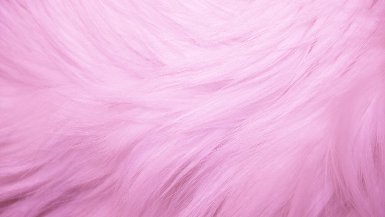 Обои мех, розовый, сирень, пурпурный цвет, ткань в разрешении 1280x720
