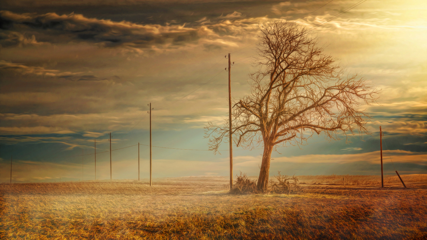 Обои дерево, утро, равнина, атмосфера, небо в разрешении 1366x768