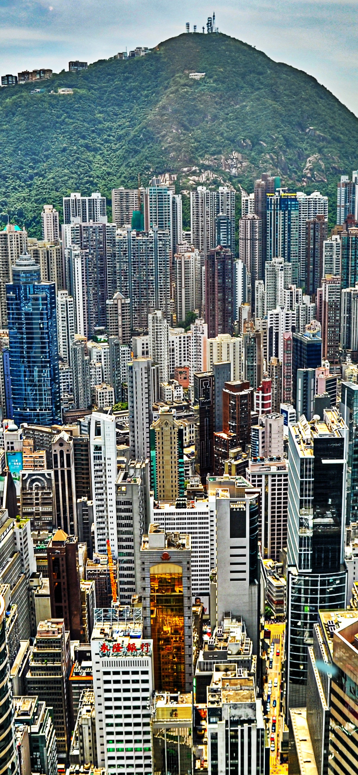 Обои международный финансовый центр, Гонконг, городской пейзаж, город, метрополия в разрешении 1242x2688