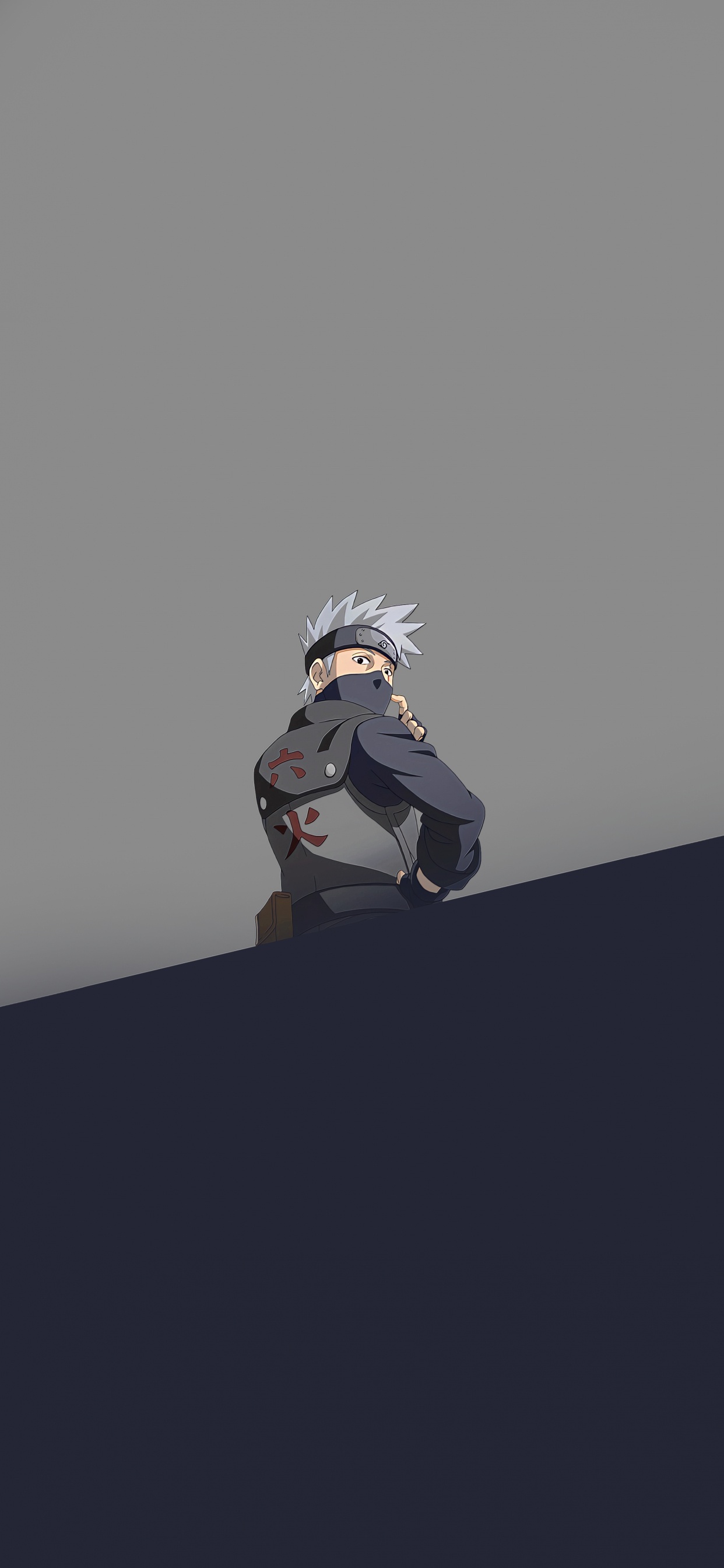 Обои арт, серый цвет, крыша, отдых, кармин в разрешении 1242x2688