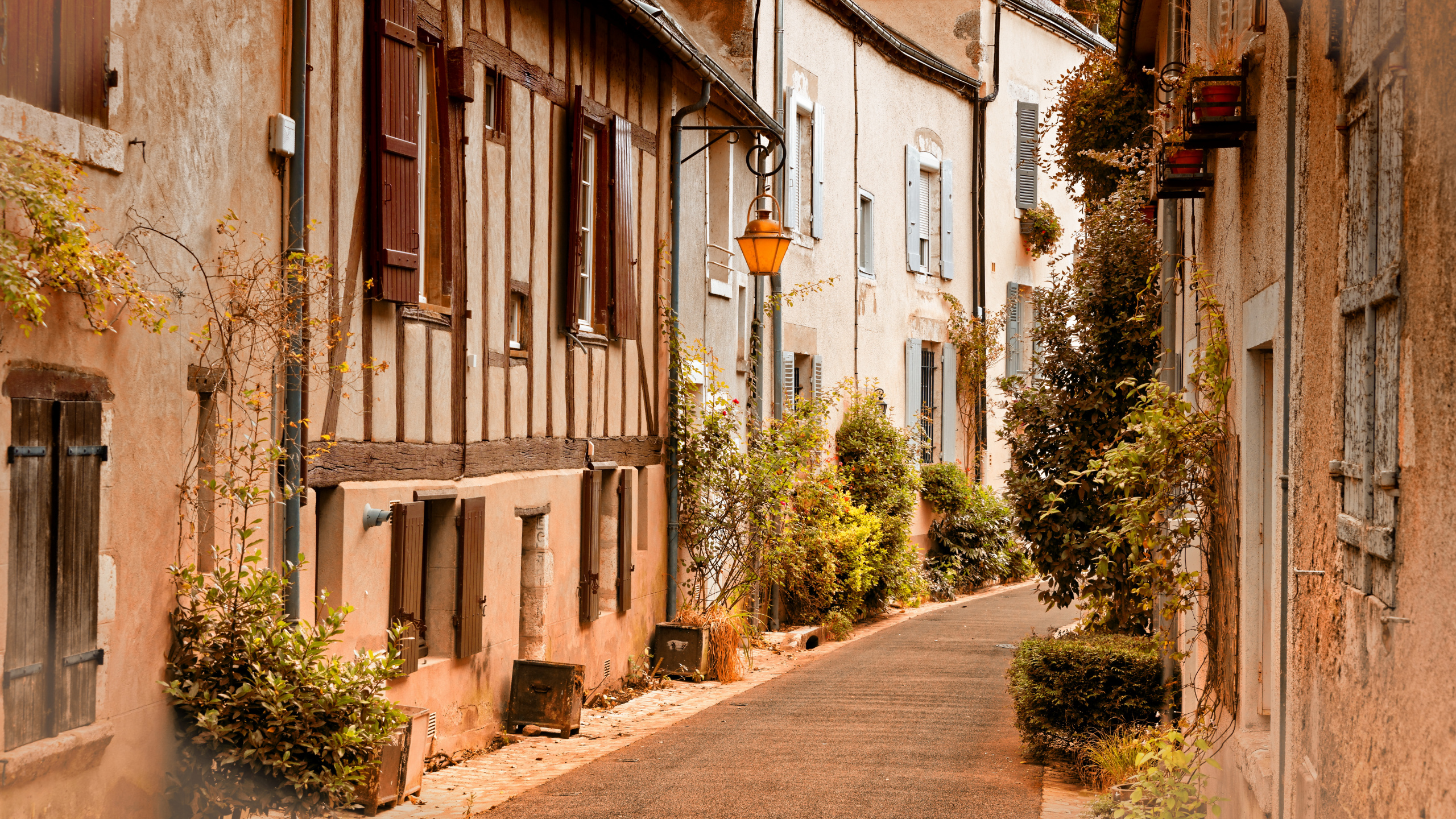 Обои Божанси, аллея, город, улица, городок в разрешении 2560x1440