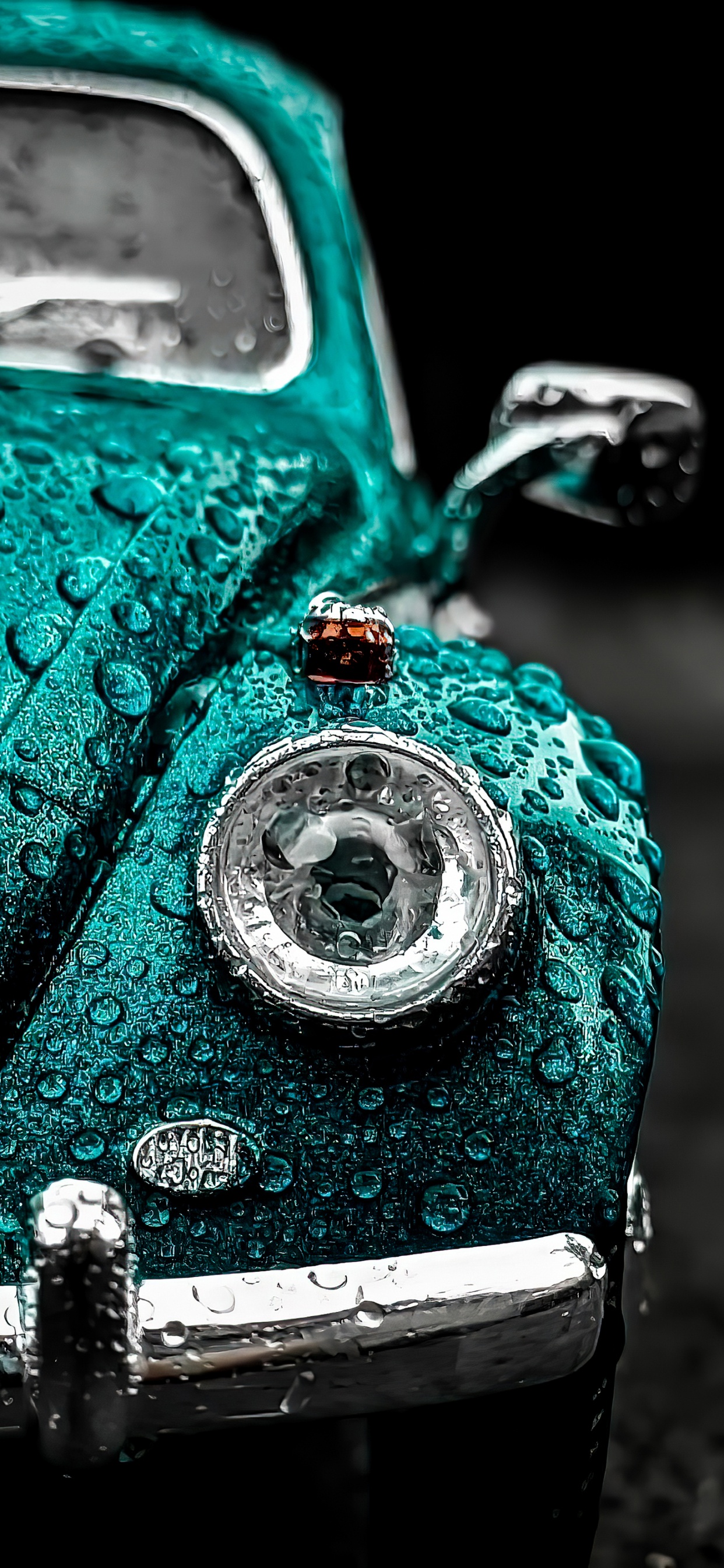 Обои вода, плохой кэш, Данза Кудуру, зеленый, белые в разрешении 1242x2688