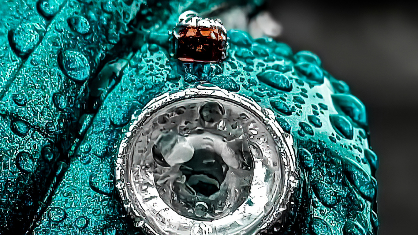 Обои вода, плохой кэш, Данза Кудуру, зеленый, белые в разрешении 1366x768