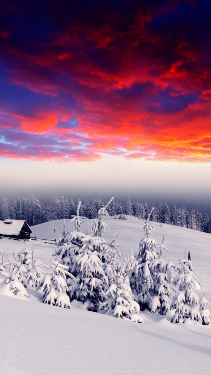 Обои снег, зима, природа, облако, замораживание в разрешении 720x1280